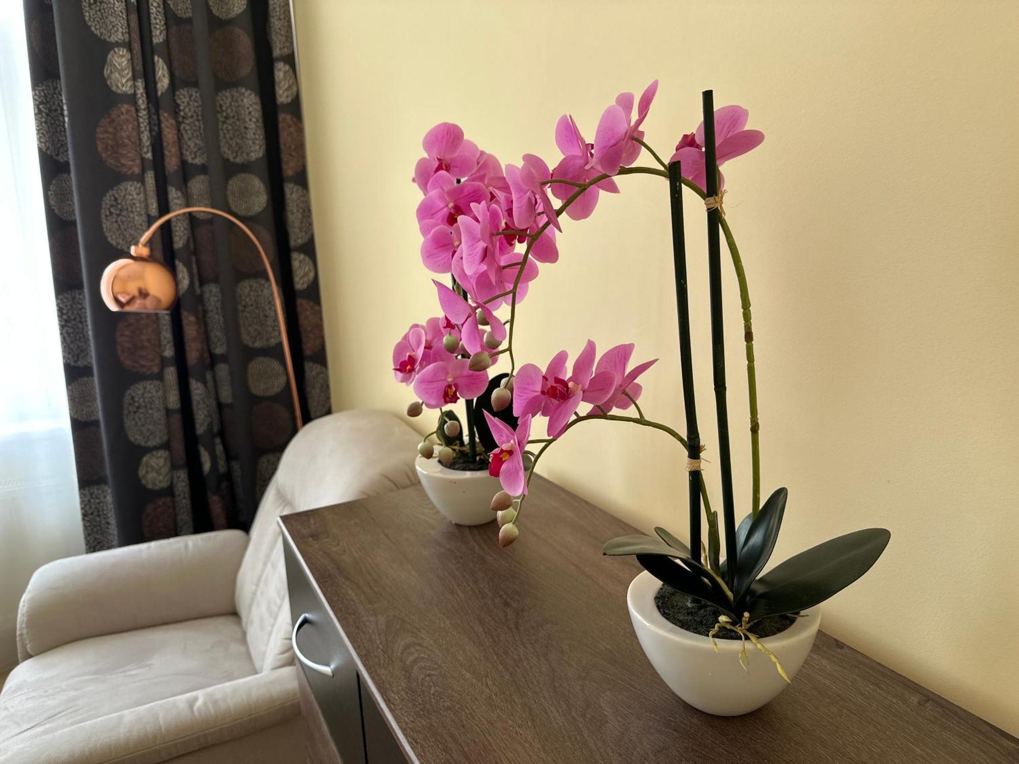 Apartment Zeyerova4 Karlovy Vary Dış mekan fotoğraf