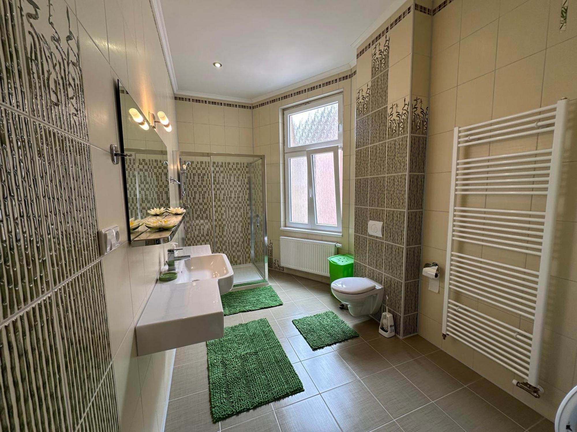 Apartment Zeyerova4 Karlovy Vary Dış mekan fotoğraf